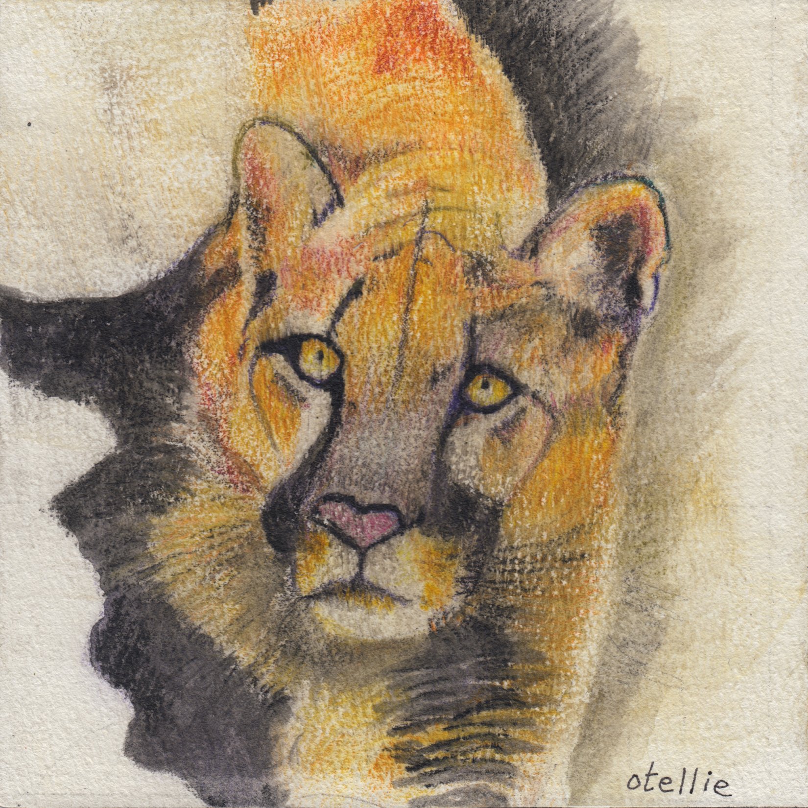 274. "Meow, Meow" Tilly Pacheco