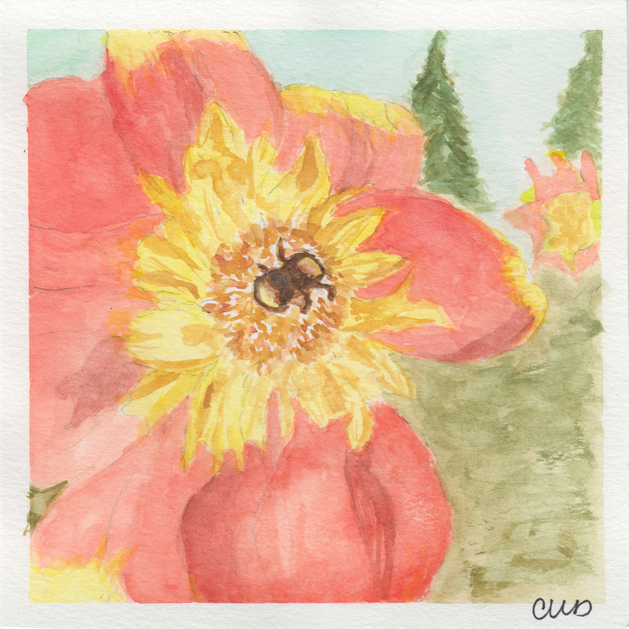 471. "Bee on Flower" Cathy MacDougall