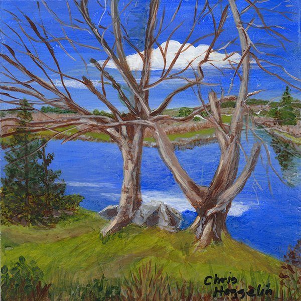 208 - "Old Trees at Salmon Hole" - Christine Heggelin