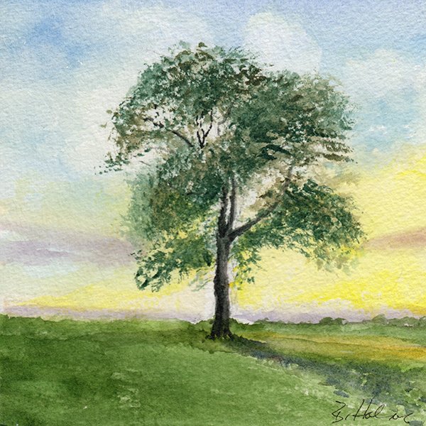 150 - "The Lone Tree" - Barbara Pottie Holmes