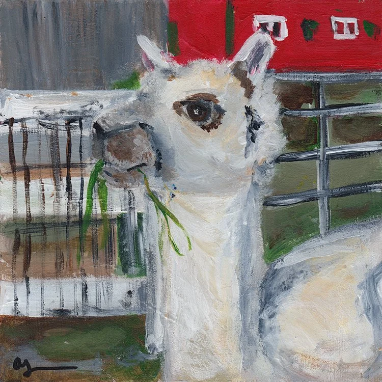 475 - "Alpaca of Hatfield Farms" -  Anette Goodwin