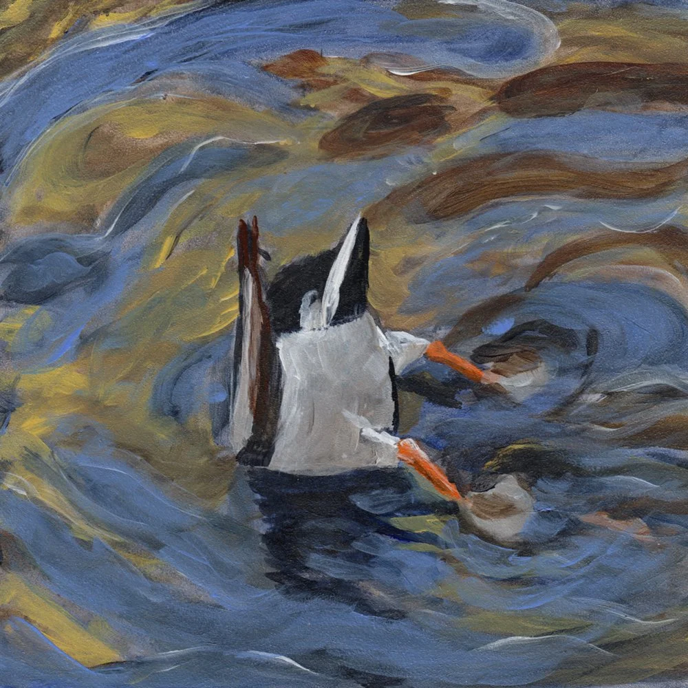 798. "Ducky Bums" Sandra Preeper