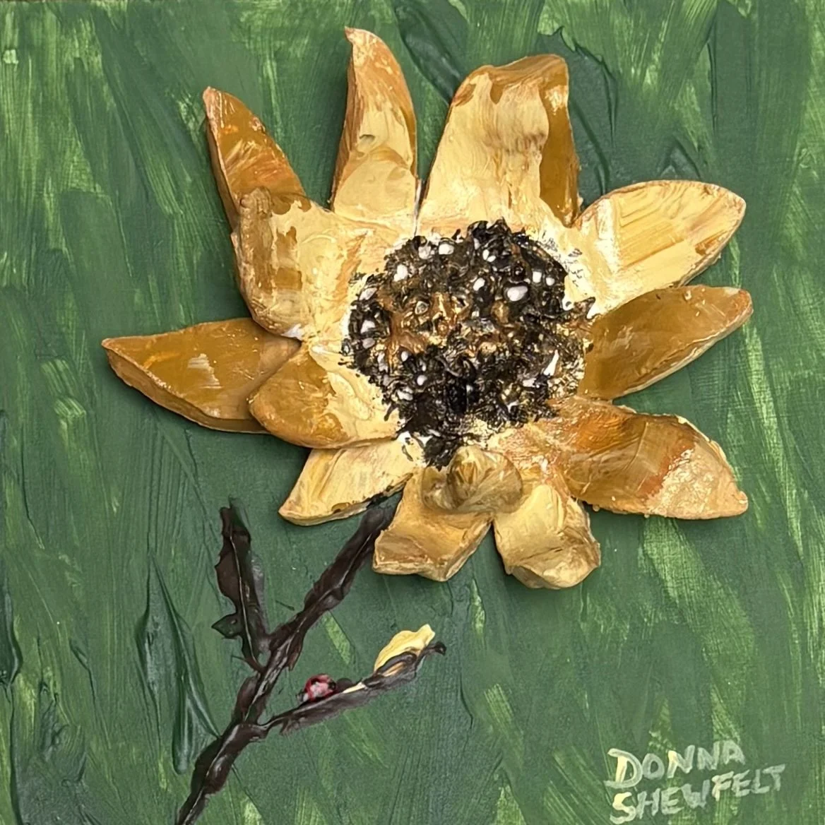 1214 Donna Shewfelt.jpg