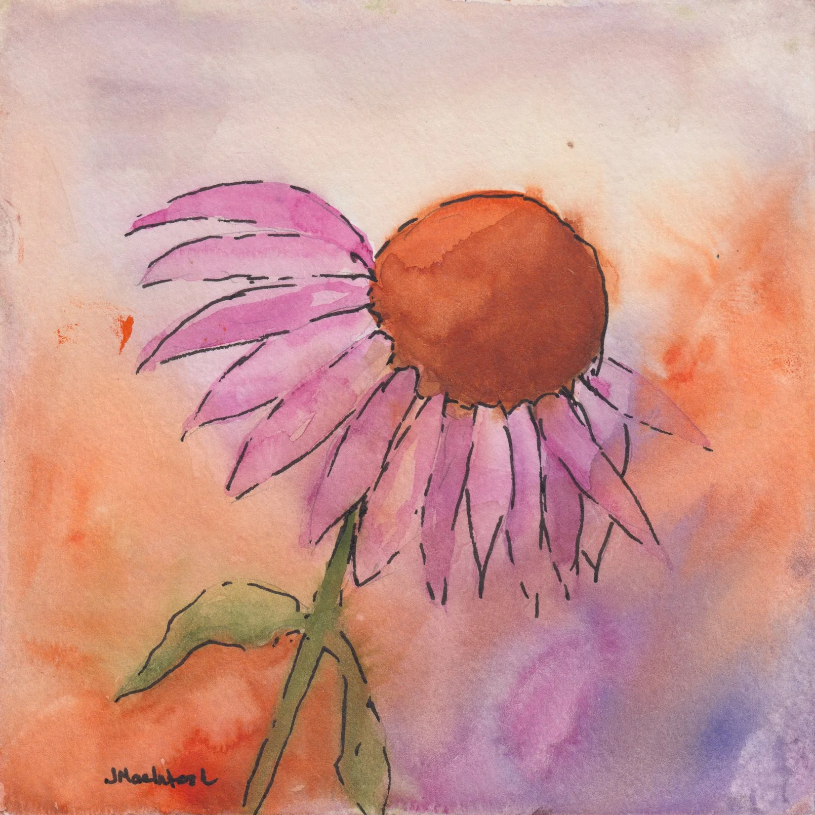 176. "Echinacea" Judy MacIntosh