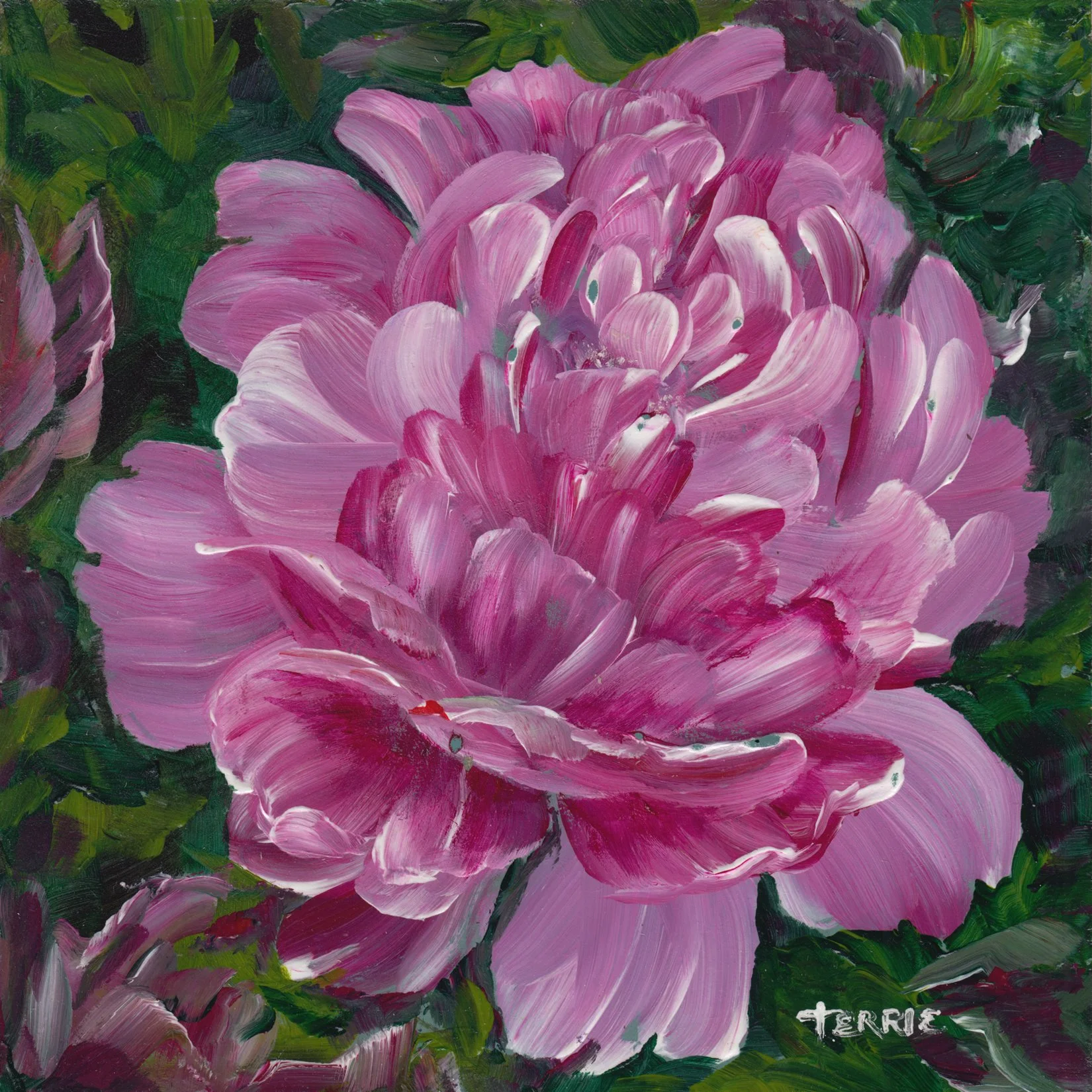 272. "Pink Glory" Terrie Greencorn