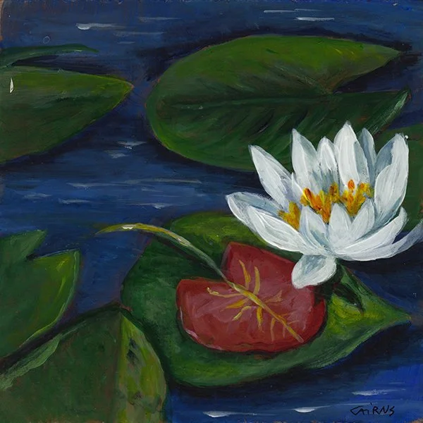 345 - "Floating" - Susan Cairns
