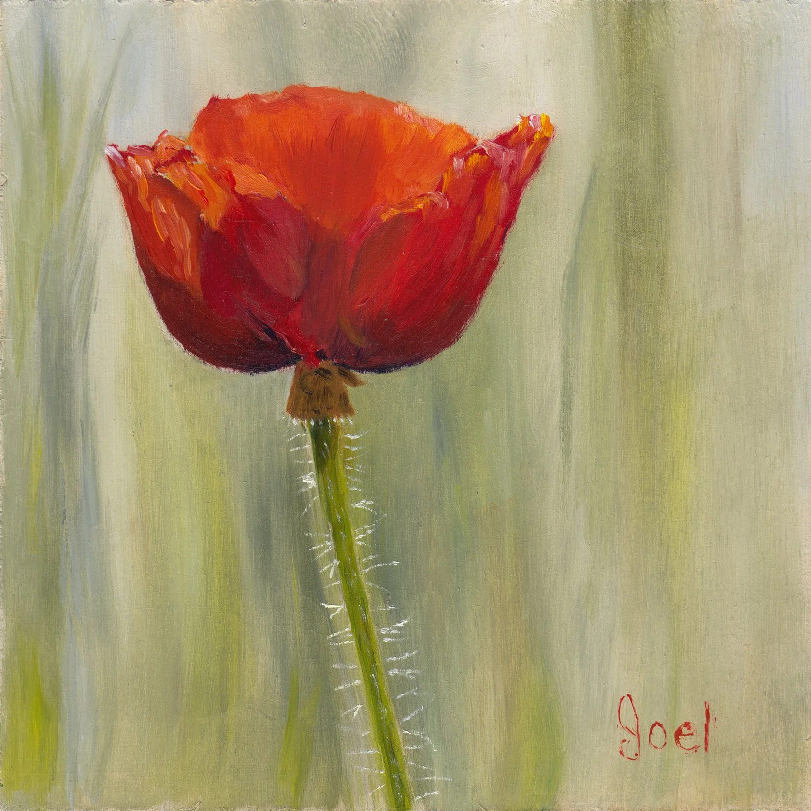 380. "Pretty Poppy" Joel Fraser