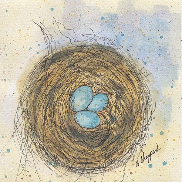 548 - "Robin Nest 2026" - Bonnie Sheppard