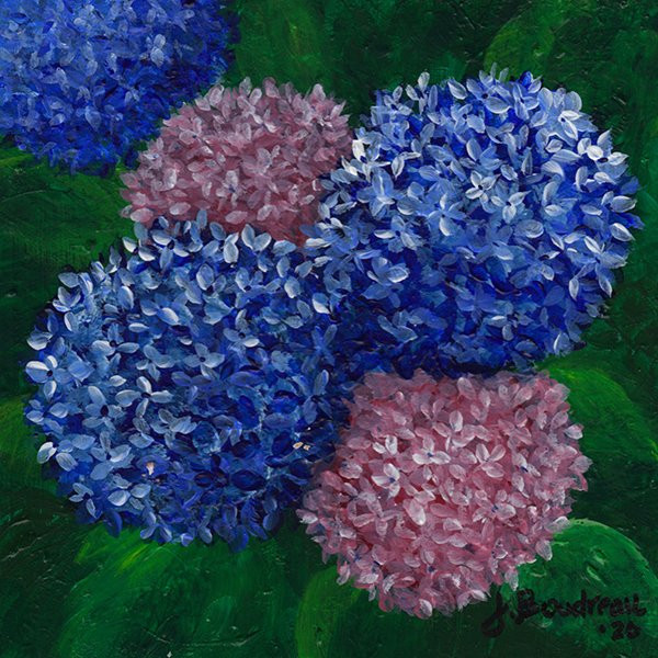 419 - "Hydrangea Happy" - Julie Boudreau