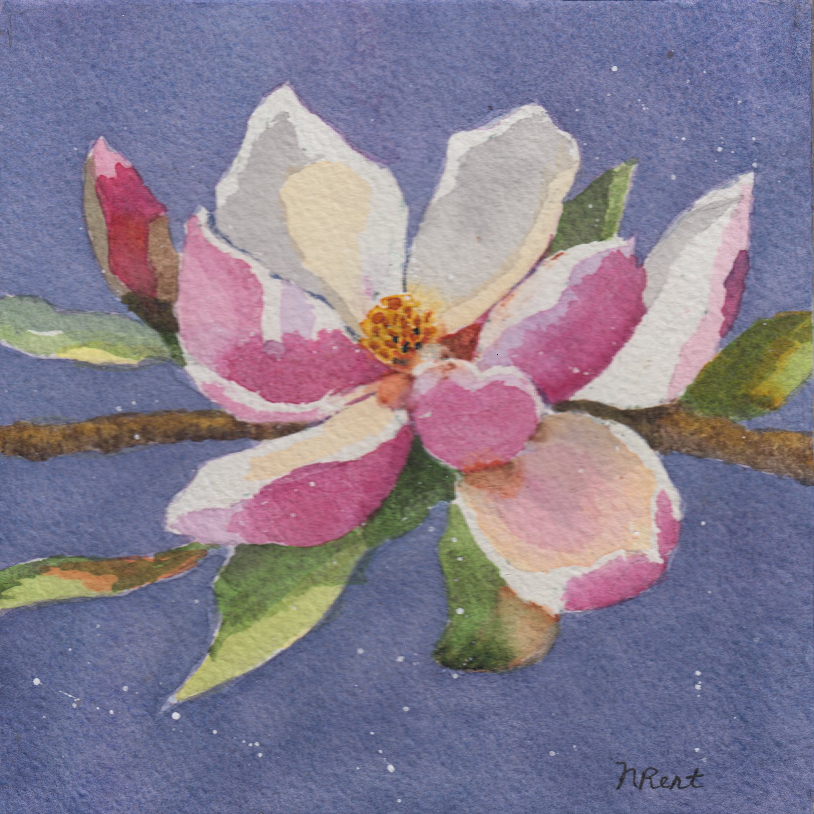 292. "Magnolia" Noreen Rent