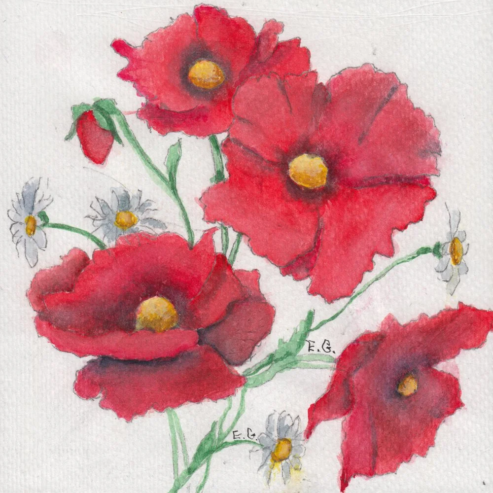 502. "Poppies" Eleanor Greeno