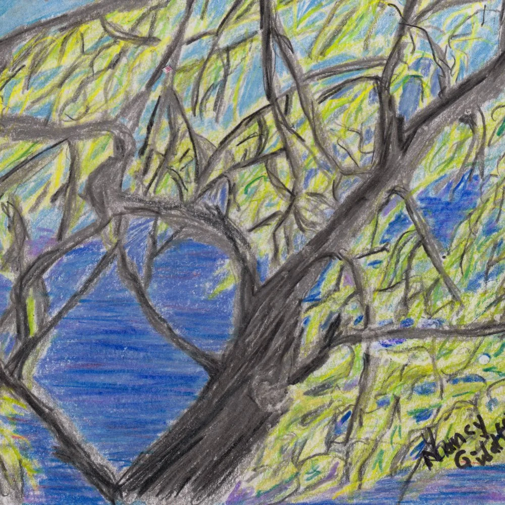 507. "Spring Willow" Nancy G.Watters