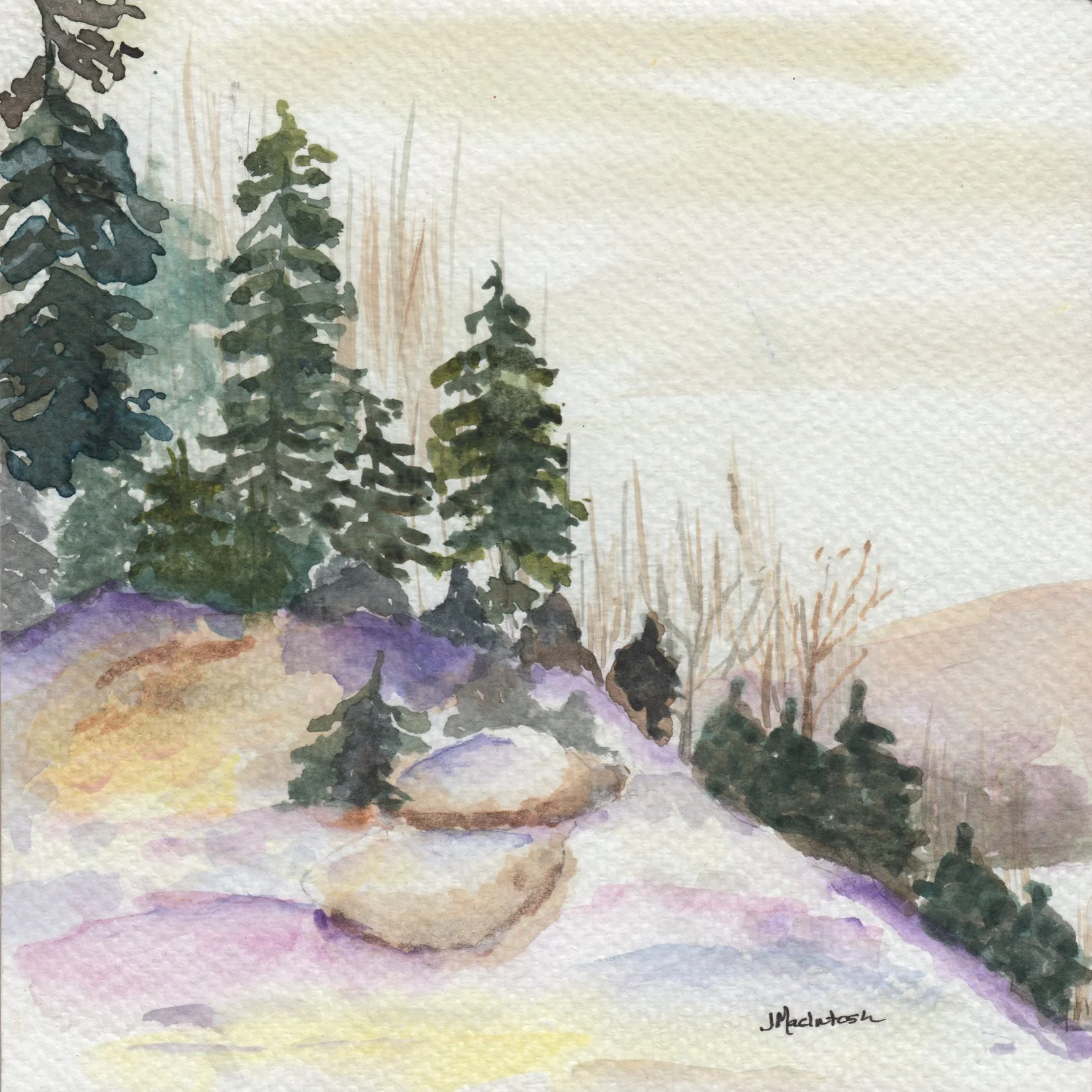 166. "Snowy Day" Judy MacIntosh