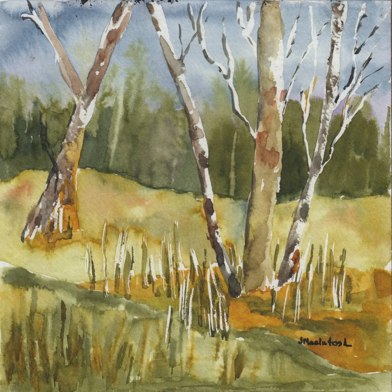 175. "Spring Time" Judy MacIntosh