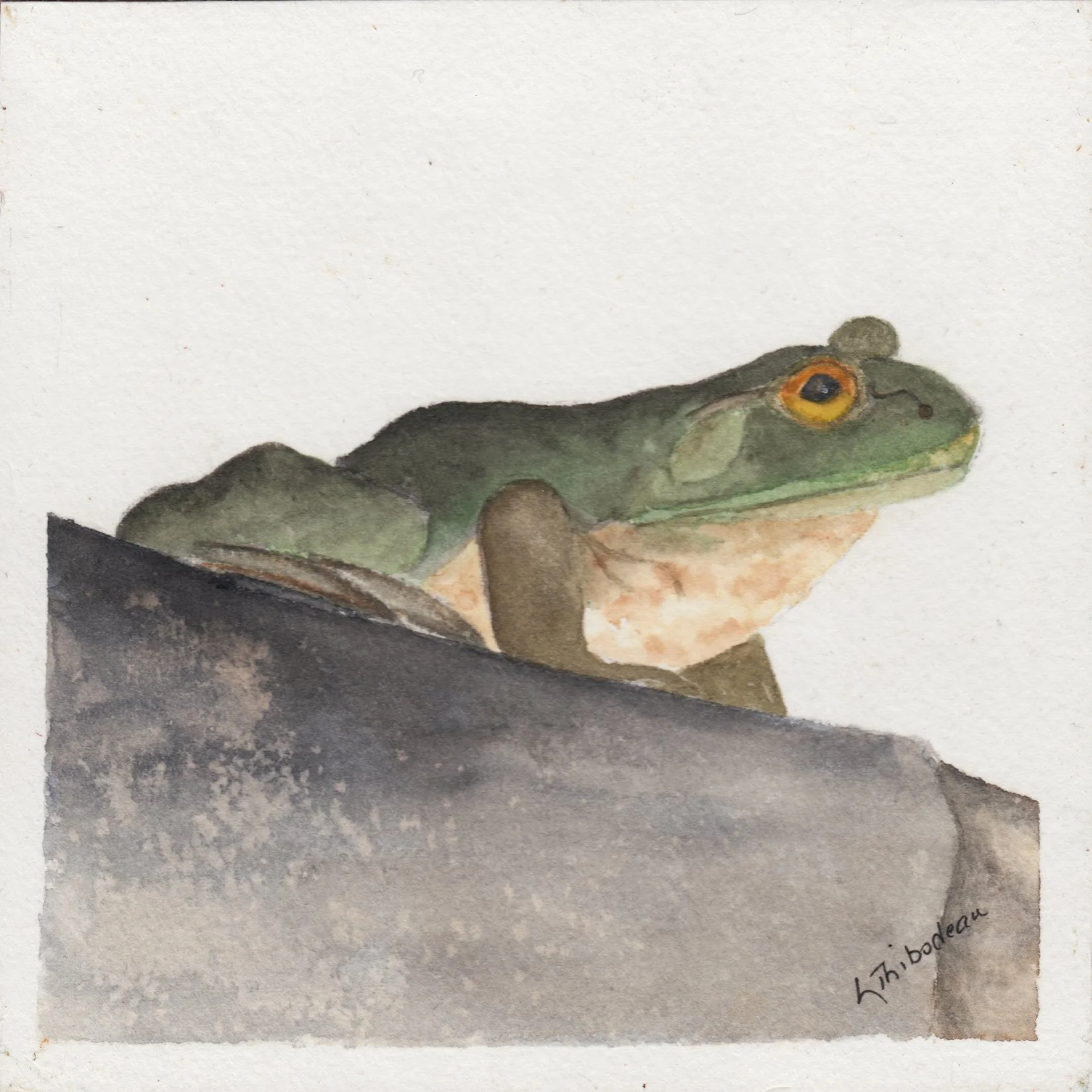 127. "Untitled" Linda Thibodeau