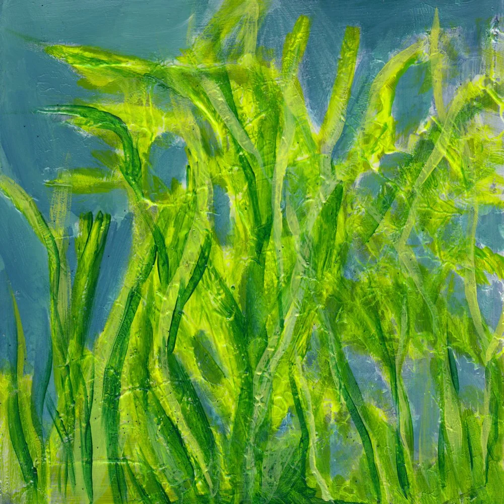 1010. "Seaweeds" Nicole Baker