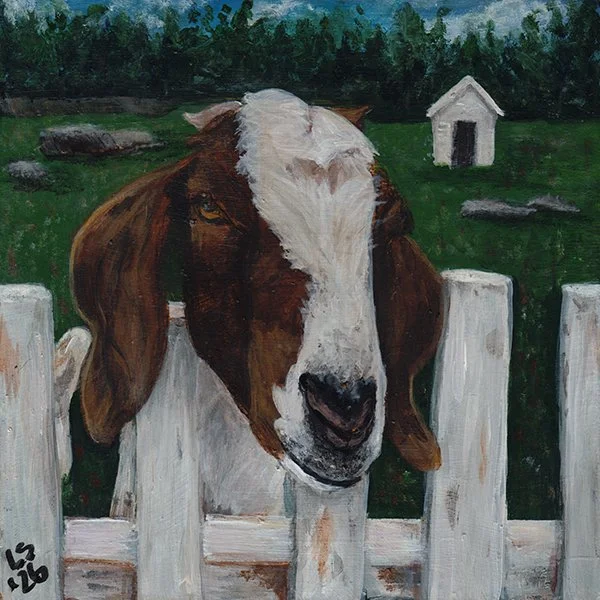 368 - "New Friend" - Lori Savory