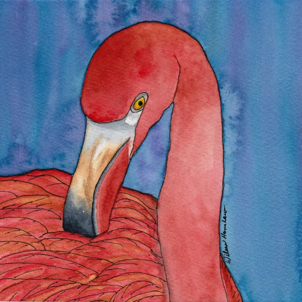 713. "Pretty Flamingo" Wileen Hanshaw