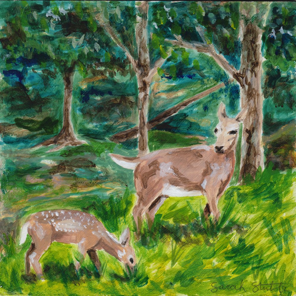 789. "Deer" Sarah Stubbs