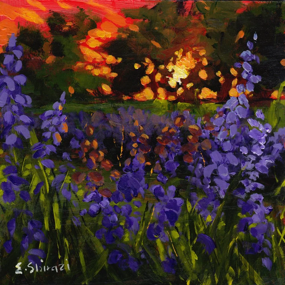 914.	"Voilet Blooms in Golden Hour" Eman Shirazi