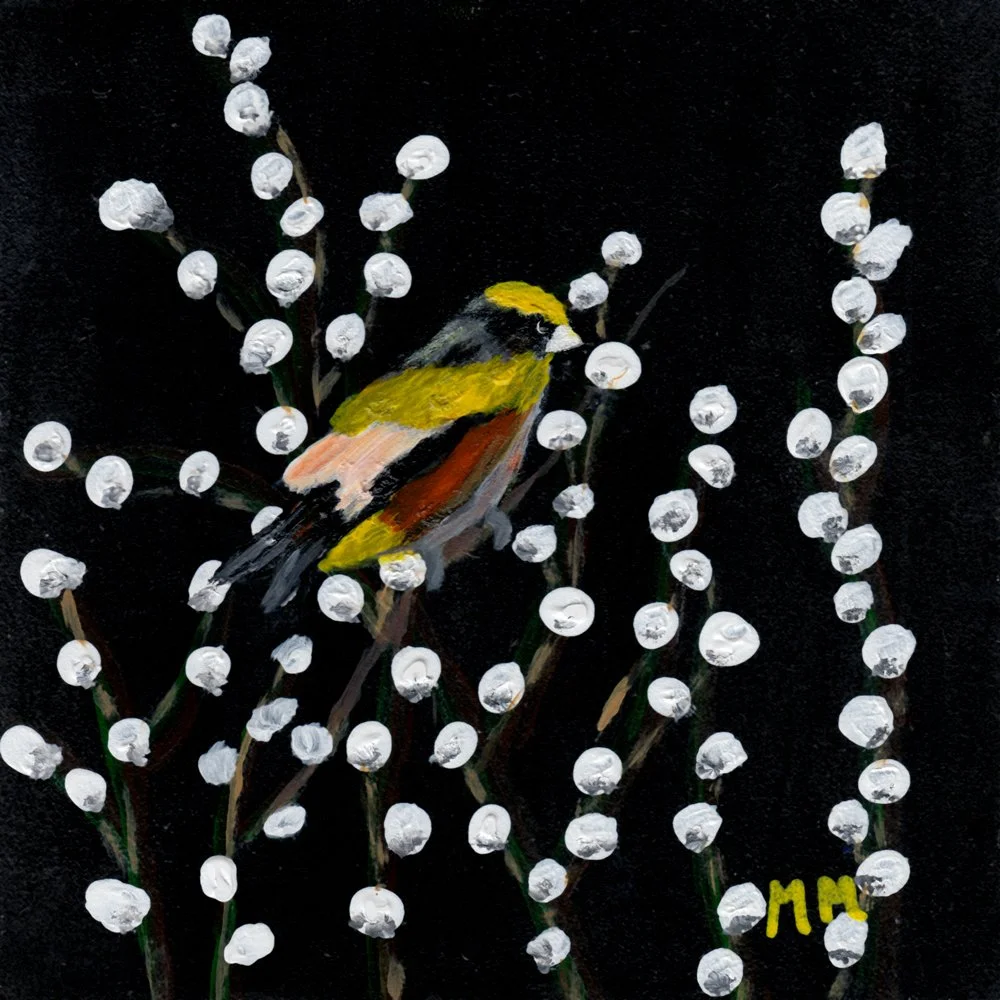 828. "Hurricane Visitor" Marilyn Mitchell