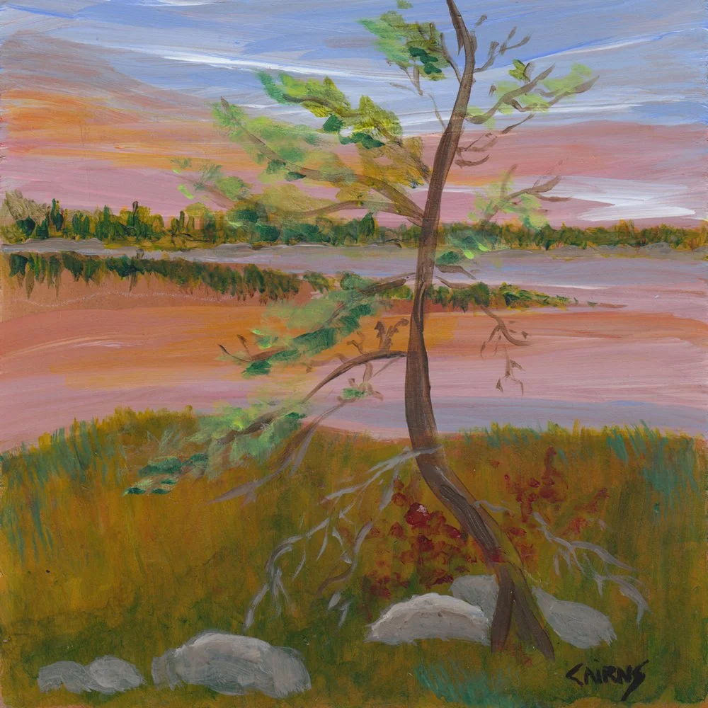 521. "Still Standing" Susan Cairns