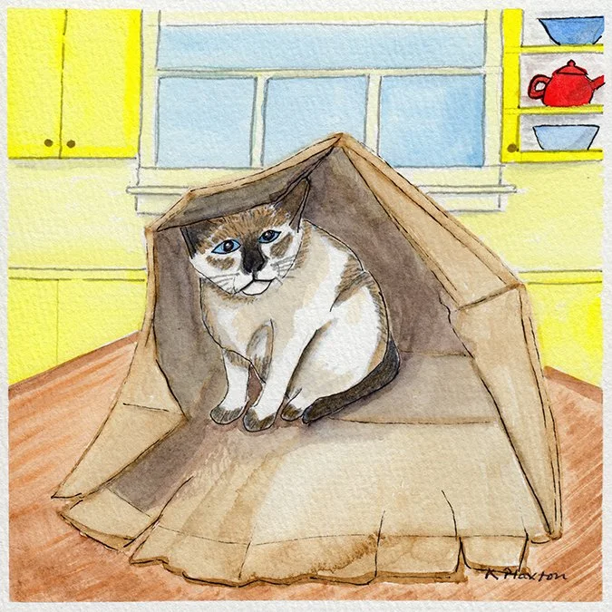 128 - "Loki in a Bag" - Kim Paxton