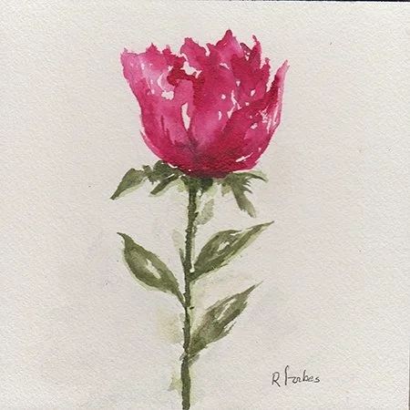 91 - "Rosie Daydream" - Rachel Forbes