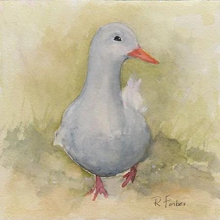 93 - "Waddle with Attitude" - Rachel Forbes