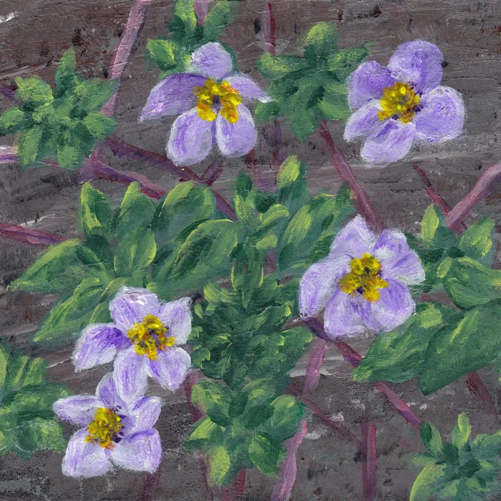 759. "Flowers on a Log" Heather Belliveau
