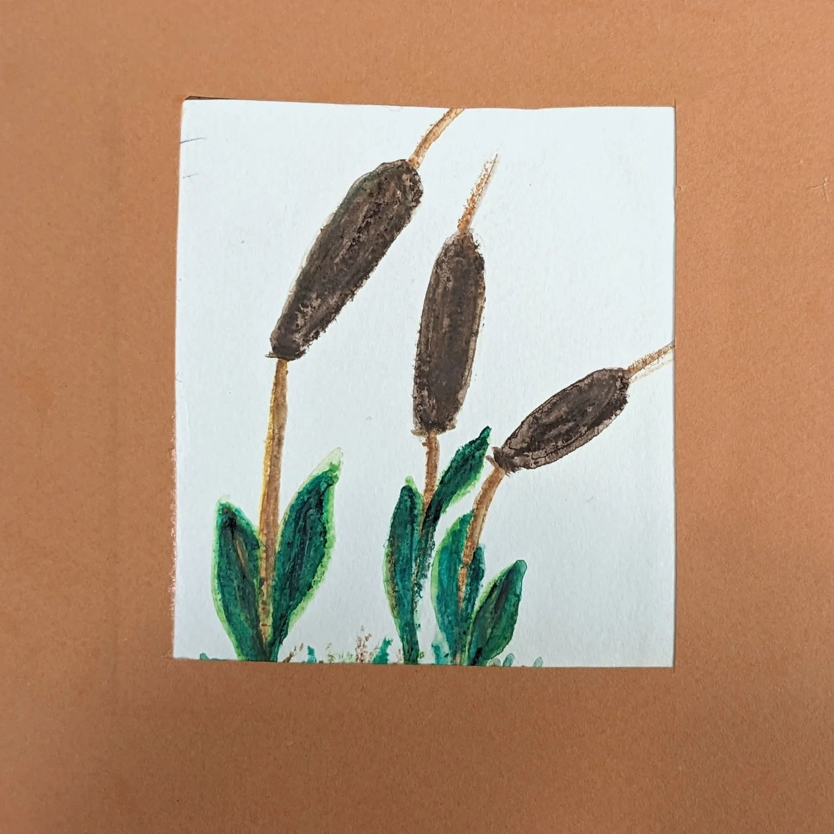 303. "Cattails / Bullrushes" Janet Charest