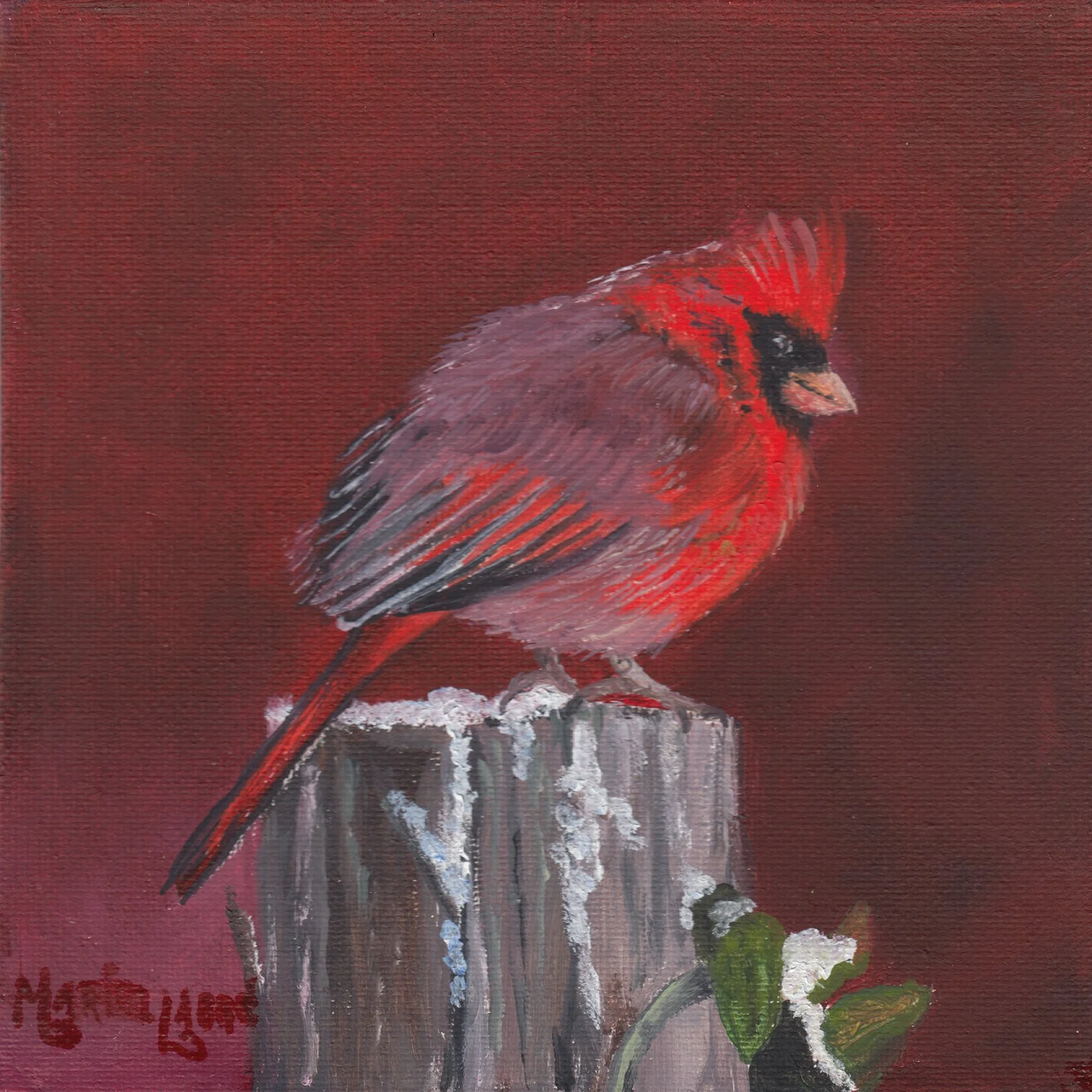 8. "Cardinal (Male)" Marielle Labbé