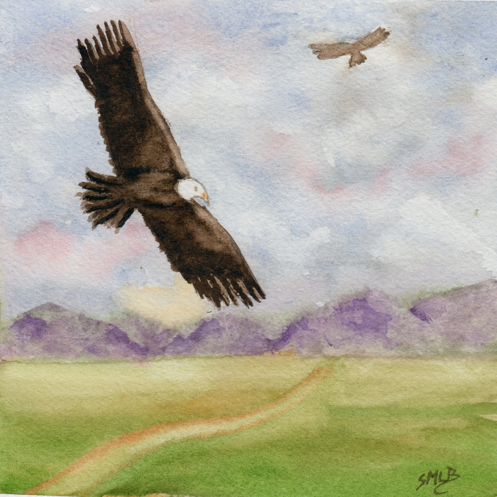 589. "Soaring" Shirley M. LeBlanc