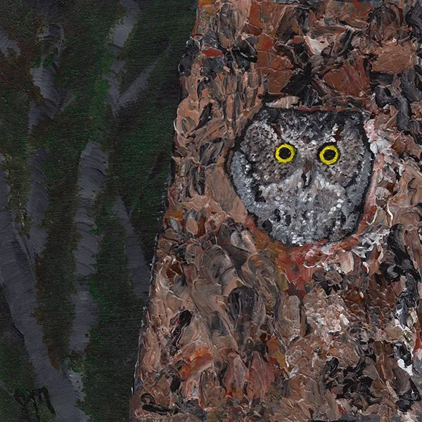 138 - "Hoo, Hoo Are You?" - Jean MacQuarrie