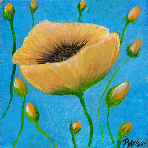 253 - "Kindness/Offsprings" - Patsy Wilson