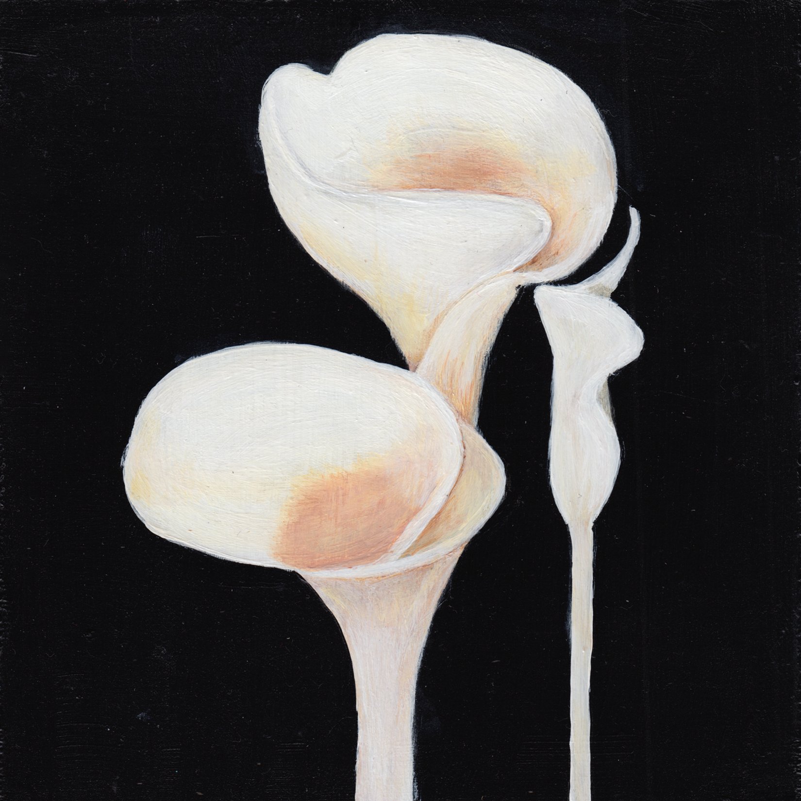 378. "My Lily Ladies" Valarie Palmeter