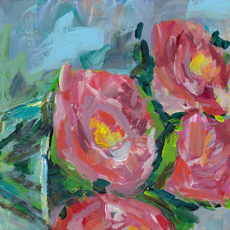 457 - "Summer Kitchen Rose" - Alice Tsang