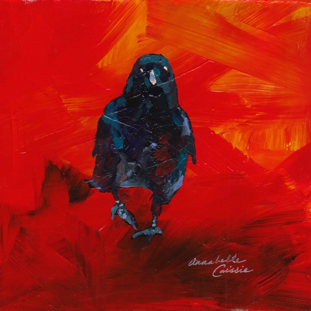 1152. "Raven Beauty" Anabelle Caissie
