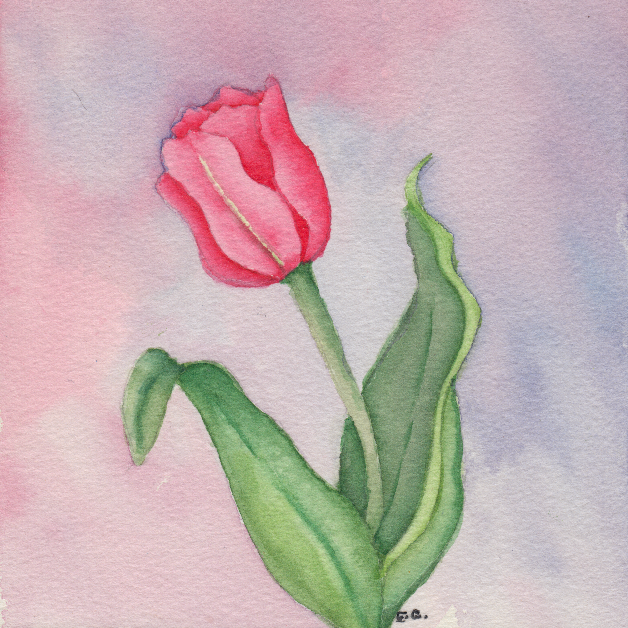 499. "Tulip" Eleanor Greeno