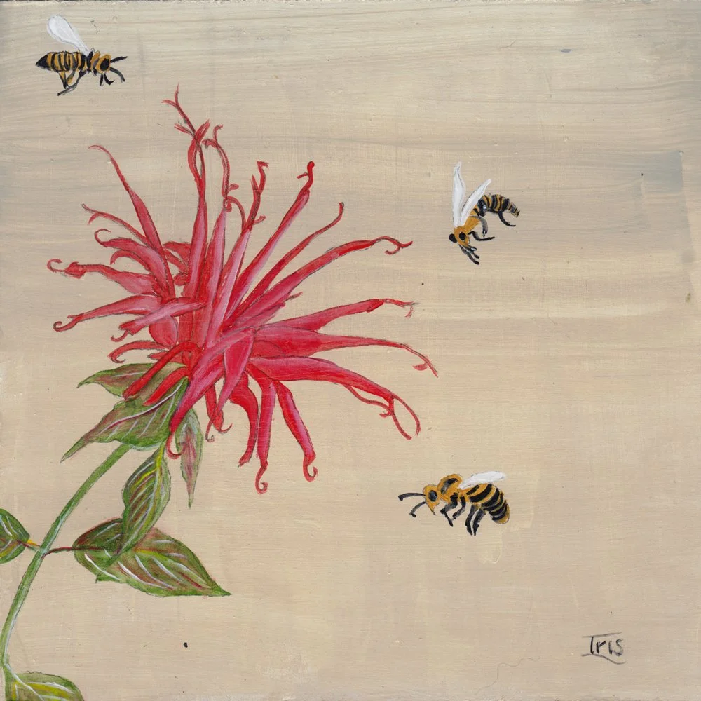 577. "Bee Balm" Iris A. Hardy
