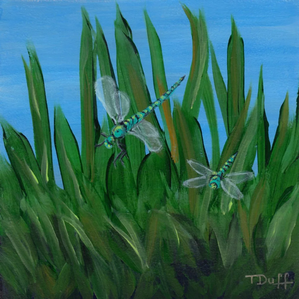 808. "Graceful Garden Gliders" Trish Duff