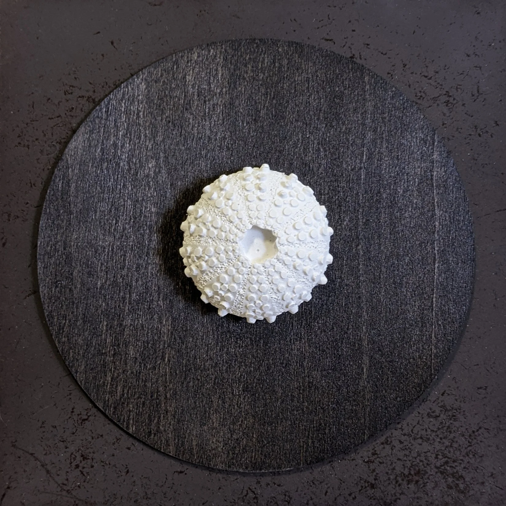 46. "Seashell #3" Lynn McDonald