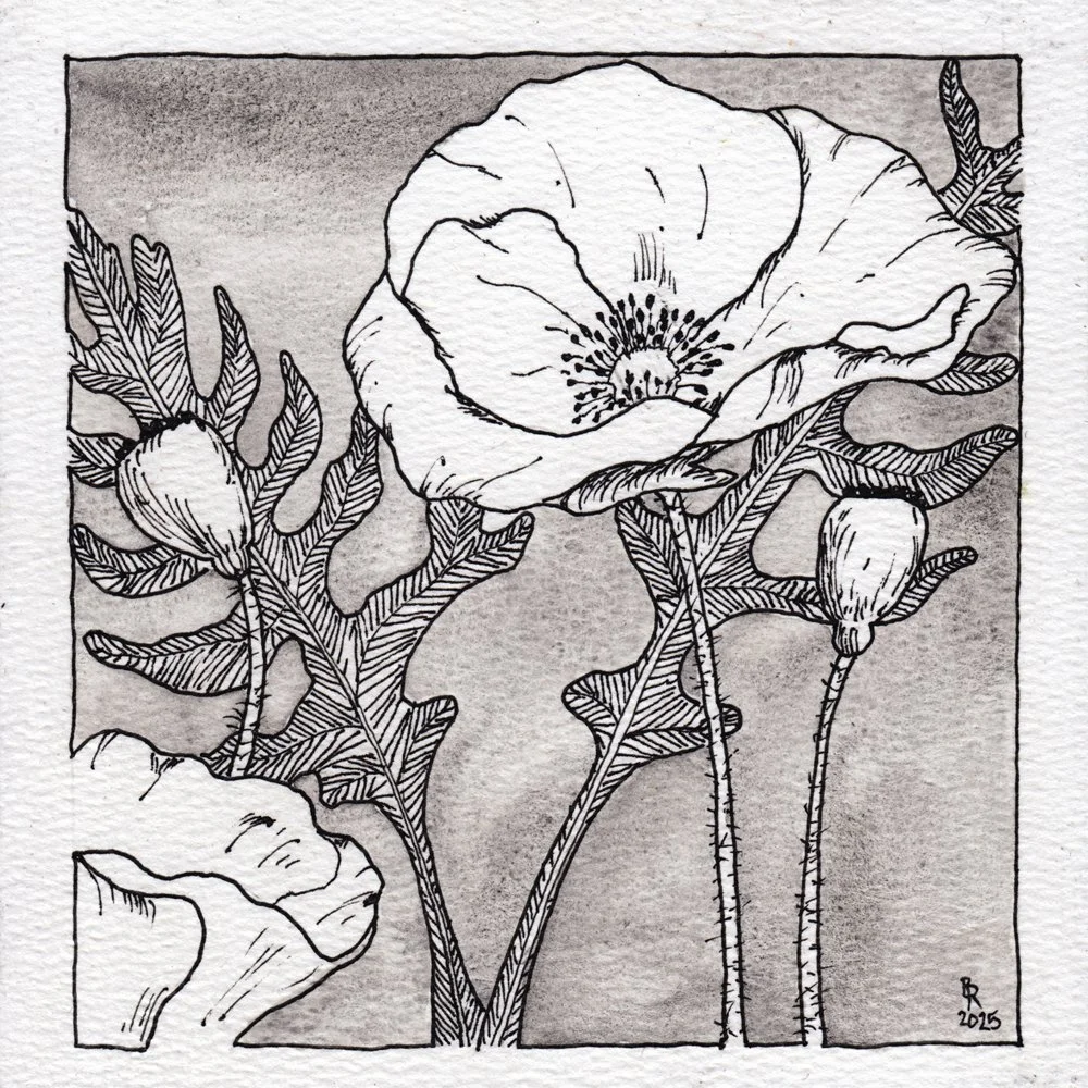 1066. "Poppies" Bob Richards