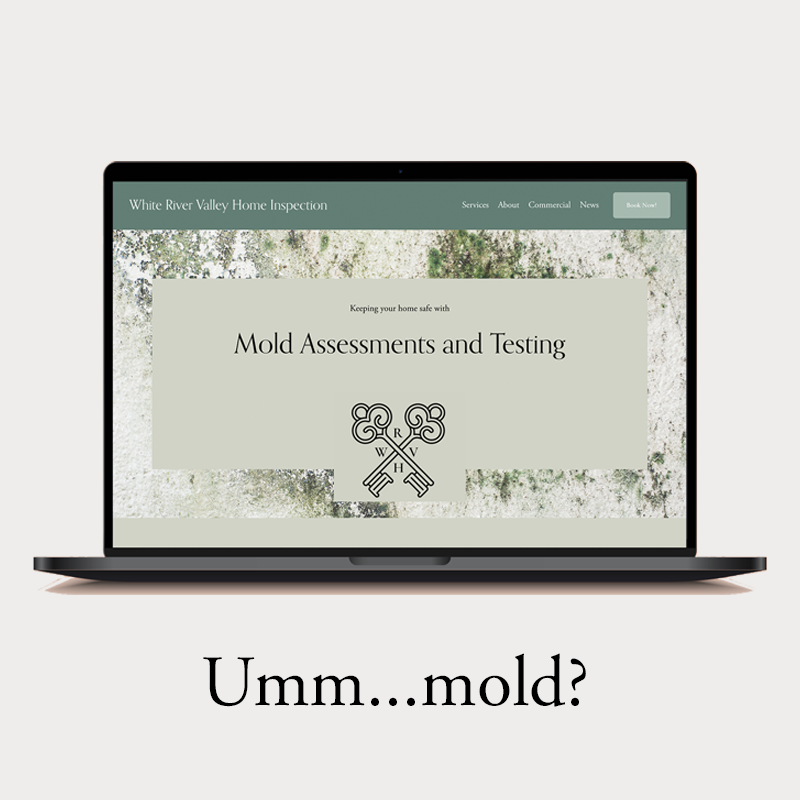 No one wants to think about mold