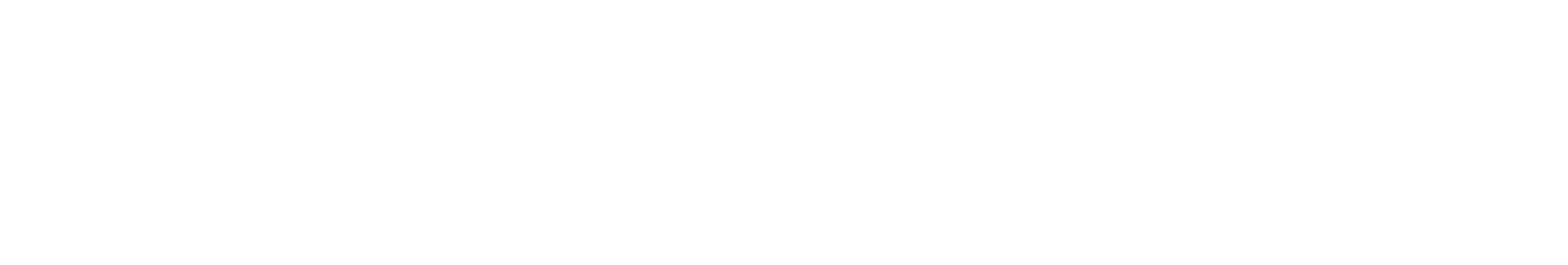 festival_descripcion-23.png