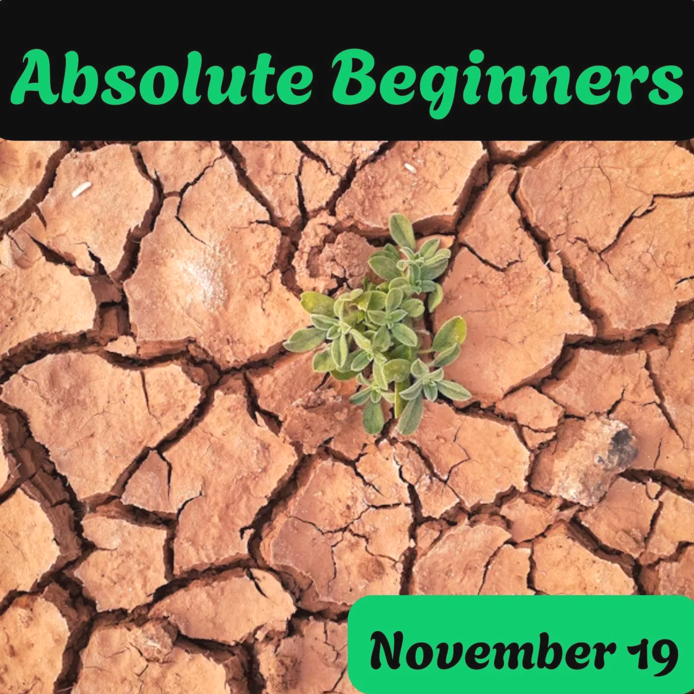 Here:Say Presents: Absolute Beginners