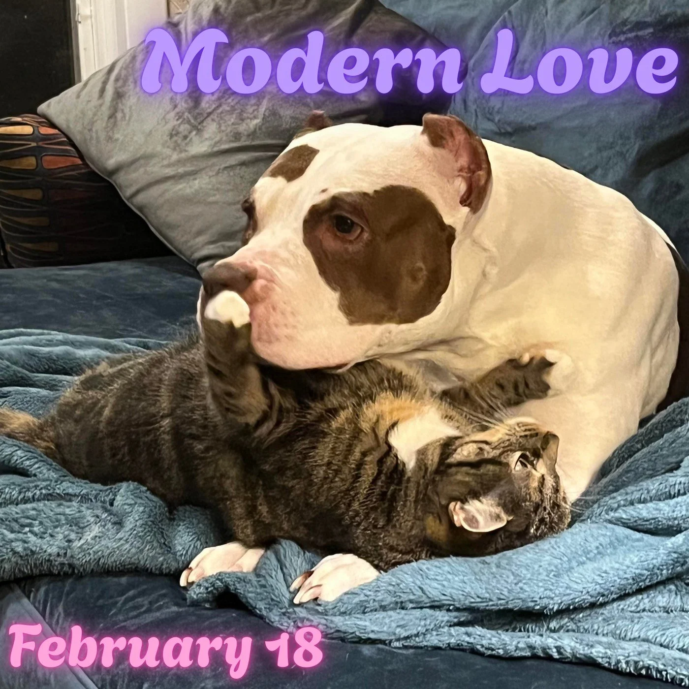 Here:Say Presents: Modern Love