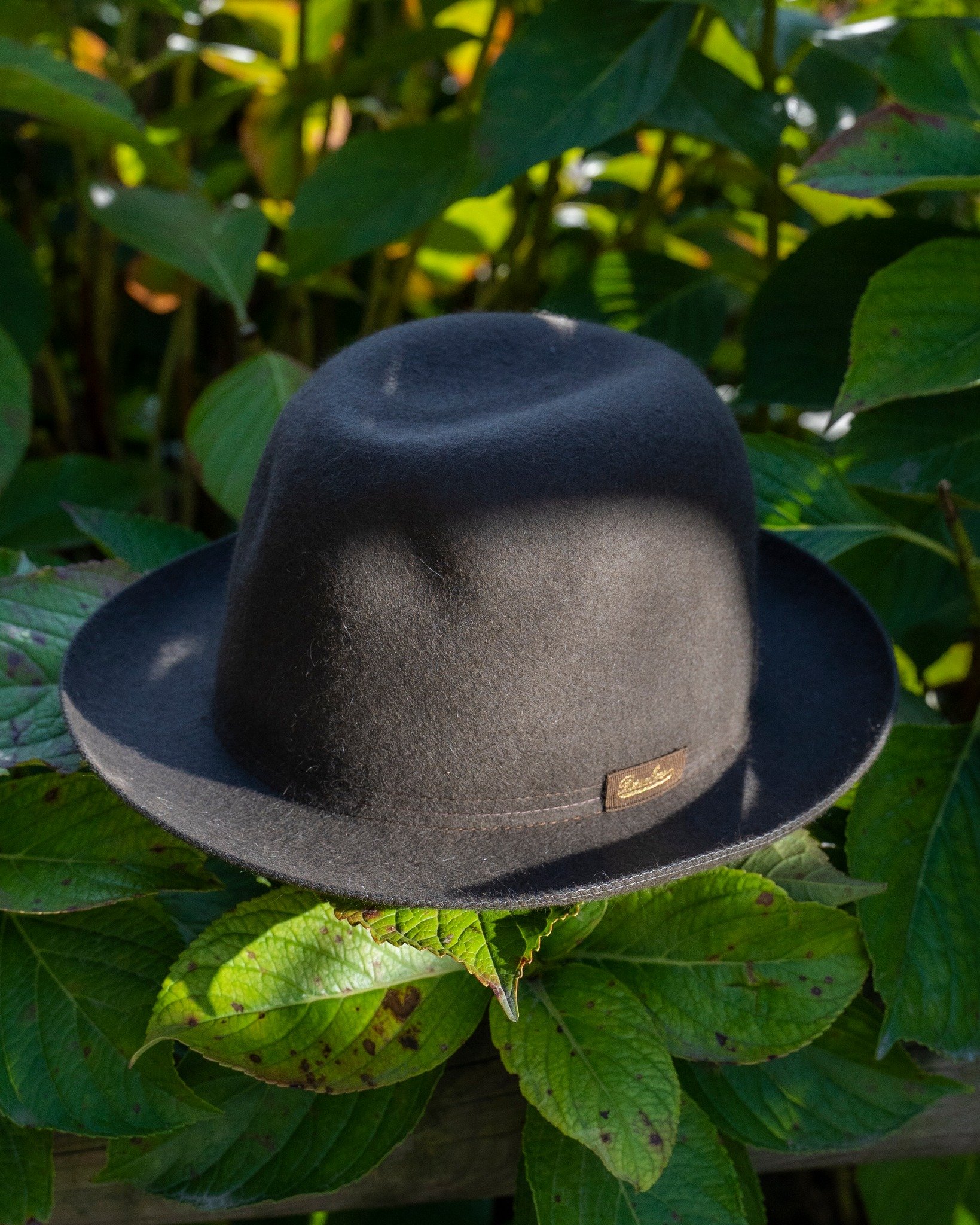 Borsalino_n.jpg