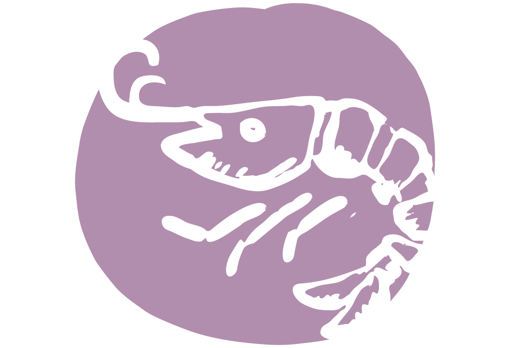 P_shrimp.png