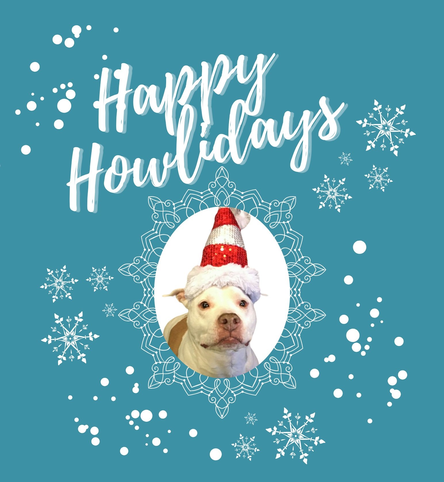 Happy Howlidays Raffle Contest